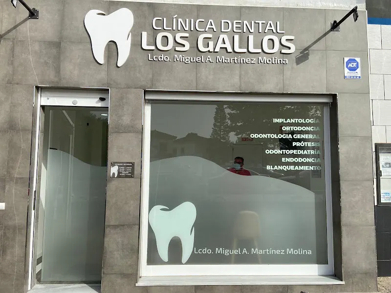 Clínica Dental Los Gallos