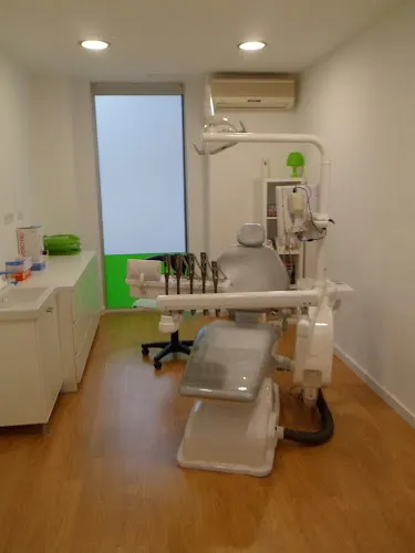 Tudentista