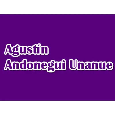 Andonegui Unanue Agustín