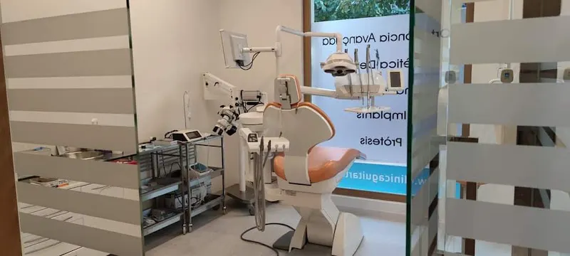 Guitart Dental 2008