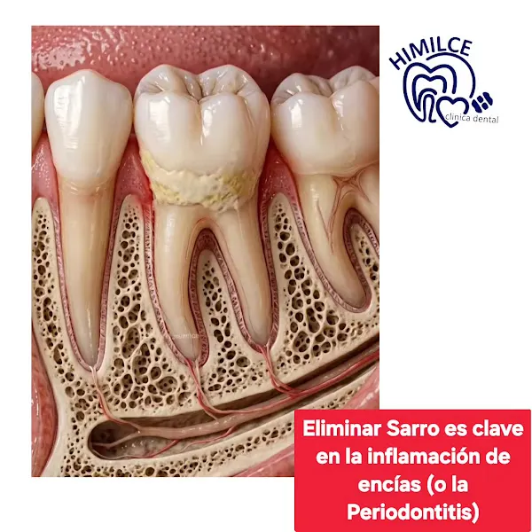 Clínica Dental Himilce - Dentista en Linares - foto 2