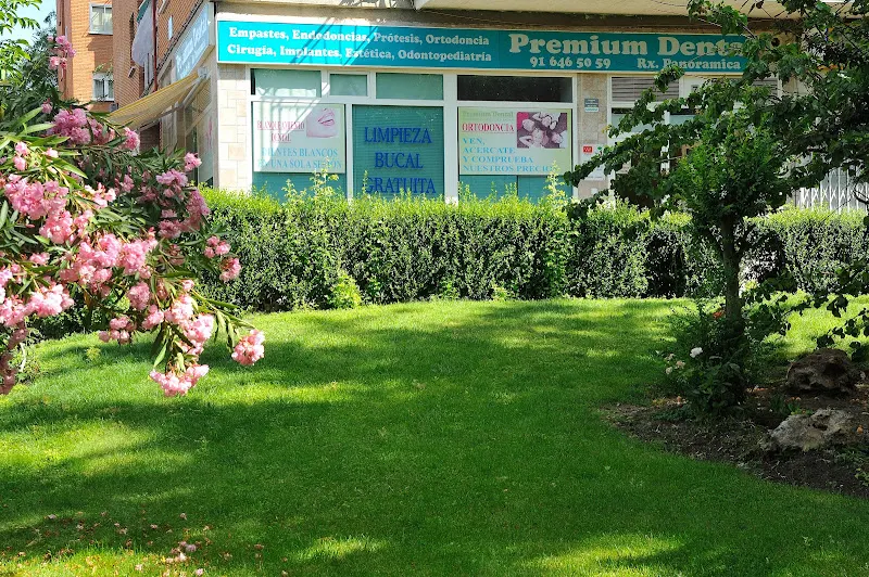 Clínica Dental | Premium Dental Pinto - Pinto