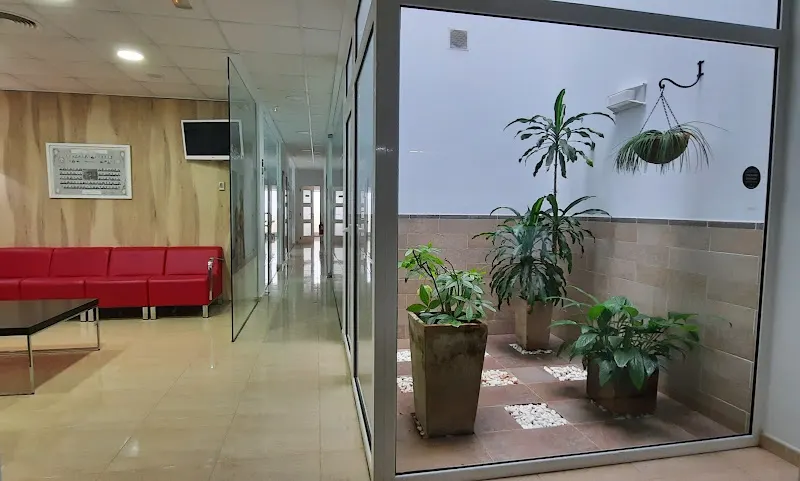 Clínica Casanova - Dentista infantil en Benifairo de la Valldigna - foto 2