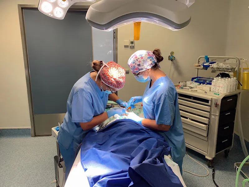 Odontología Infantil y Familiar en Valladolid Galván Lobo - Valladolid